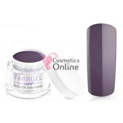 Gel UV Jolifin color cu aspect umed Terra Purple 5 ml + 1 Pigment Oglinda Cadou